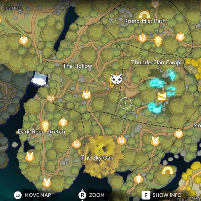 Warrior Cats: Clans of the Forest – All Sun Spot Locations
