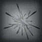 House 2 miscellaneous achievements banner displaying gameplay milestone trophies and tasks